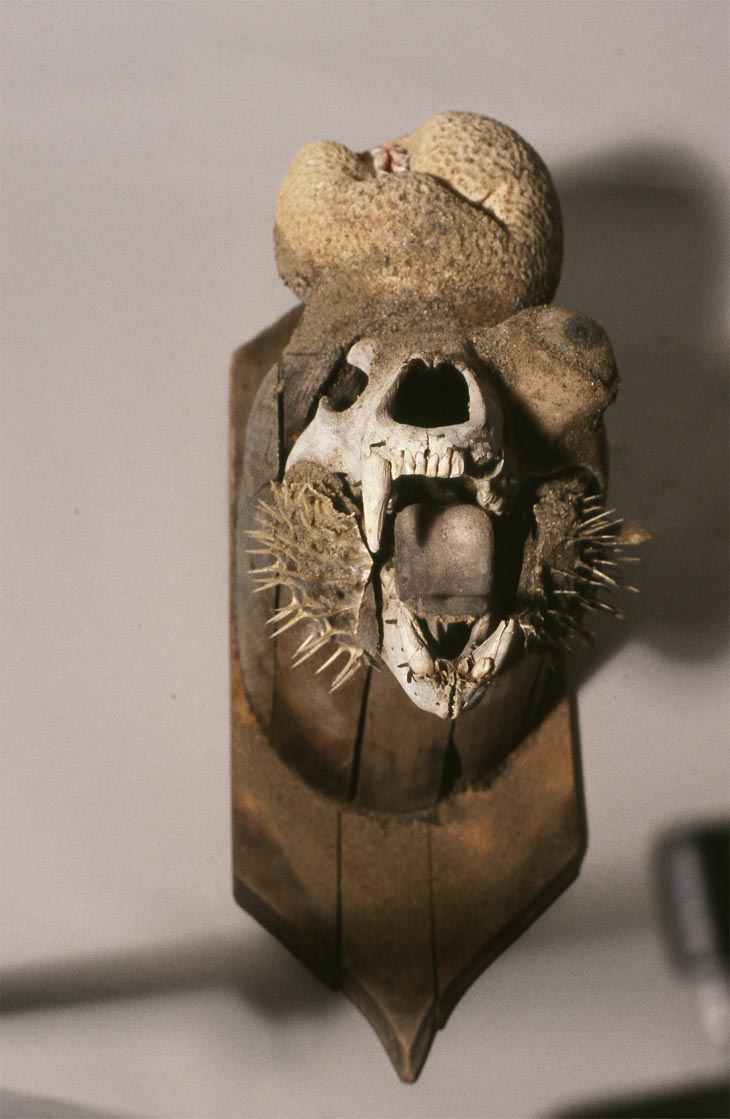 Unnatural History 2