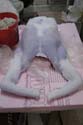 Reducit Torso2