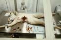 Operating Room