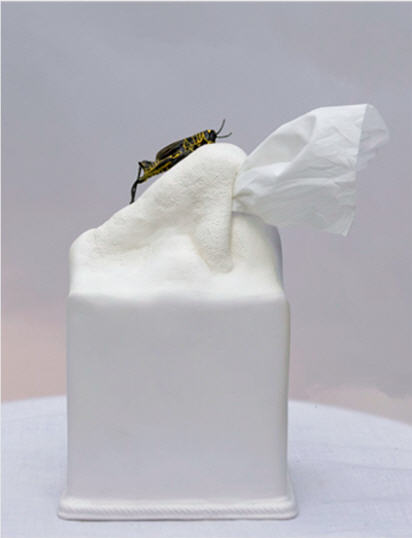 2007-irritant
