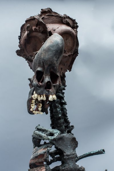 cease-fire-detail