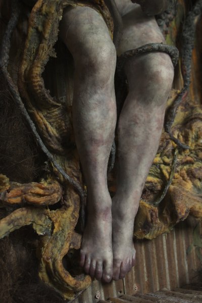 octopus-bottom2