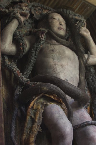 octopus-overall2