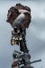 cease-fire-detail