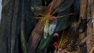 garden-detail-3_0