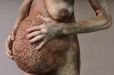 imago-detail-2-226