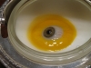 the-egg-and-i-3